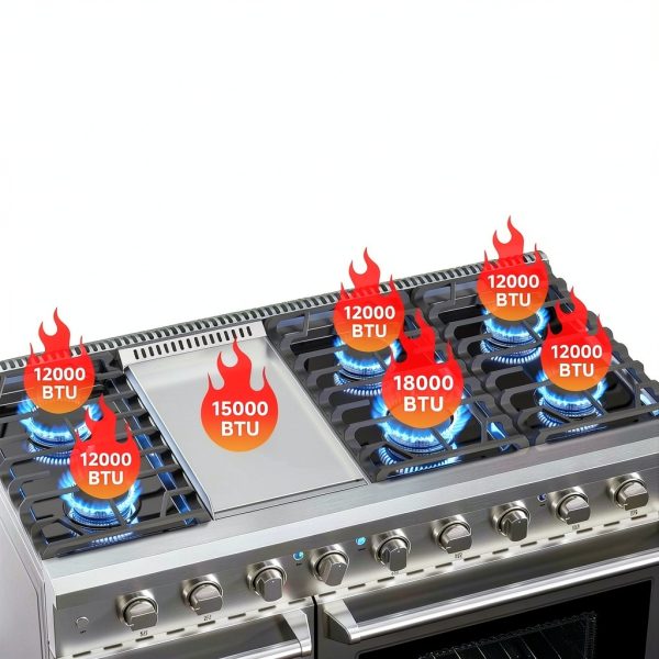 AAOBOSI Freestanding Gas Range Stainless Steel Double Oven-1