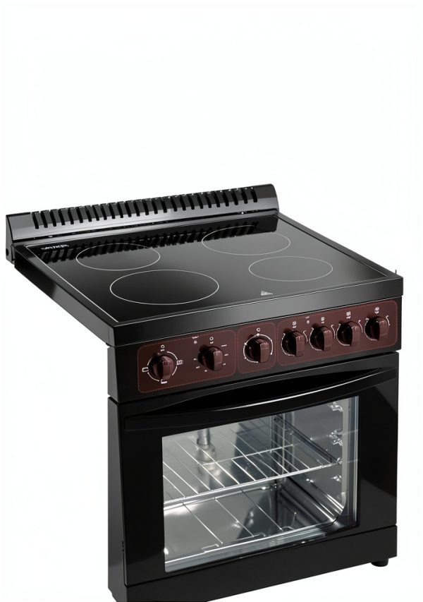 VEVOR 24 in Electric Range Oven Stainless Steel 4 Burners-2